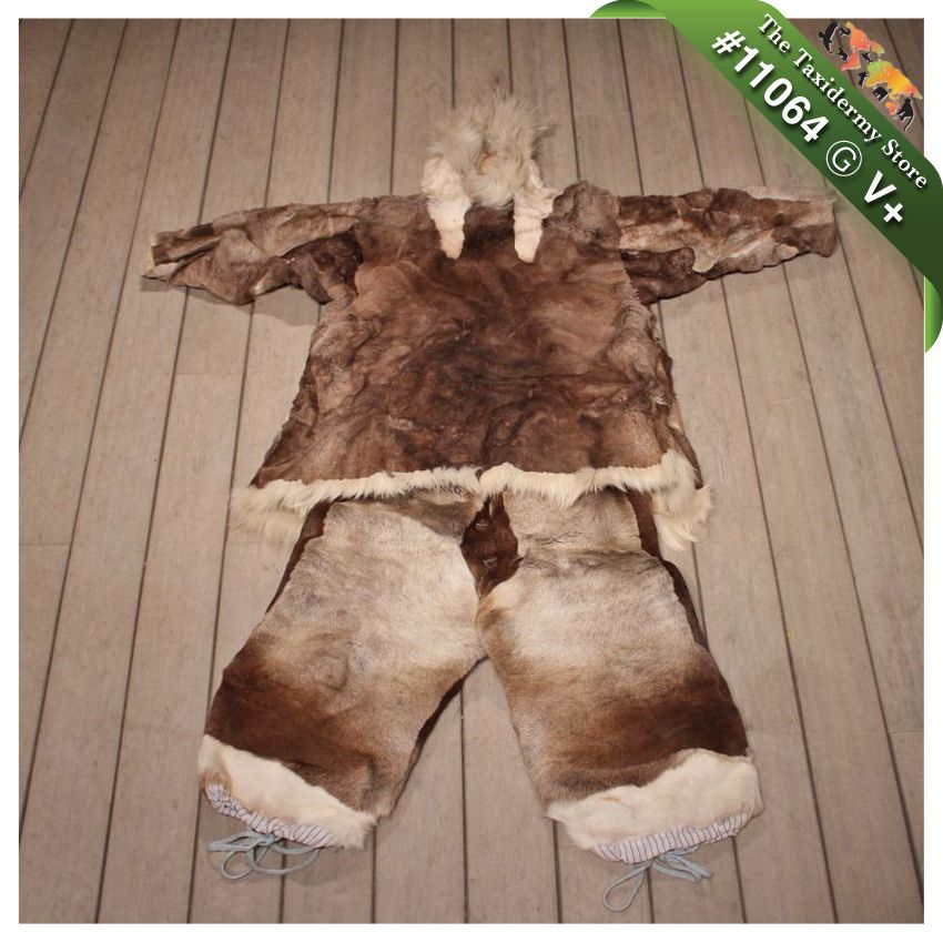 11064 V+ Caribou Hide Jacket and Pants Taxidermy Skin eBay