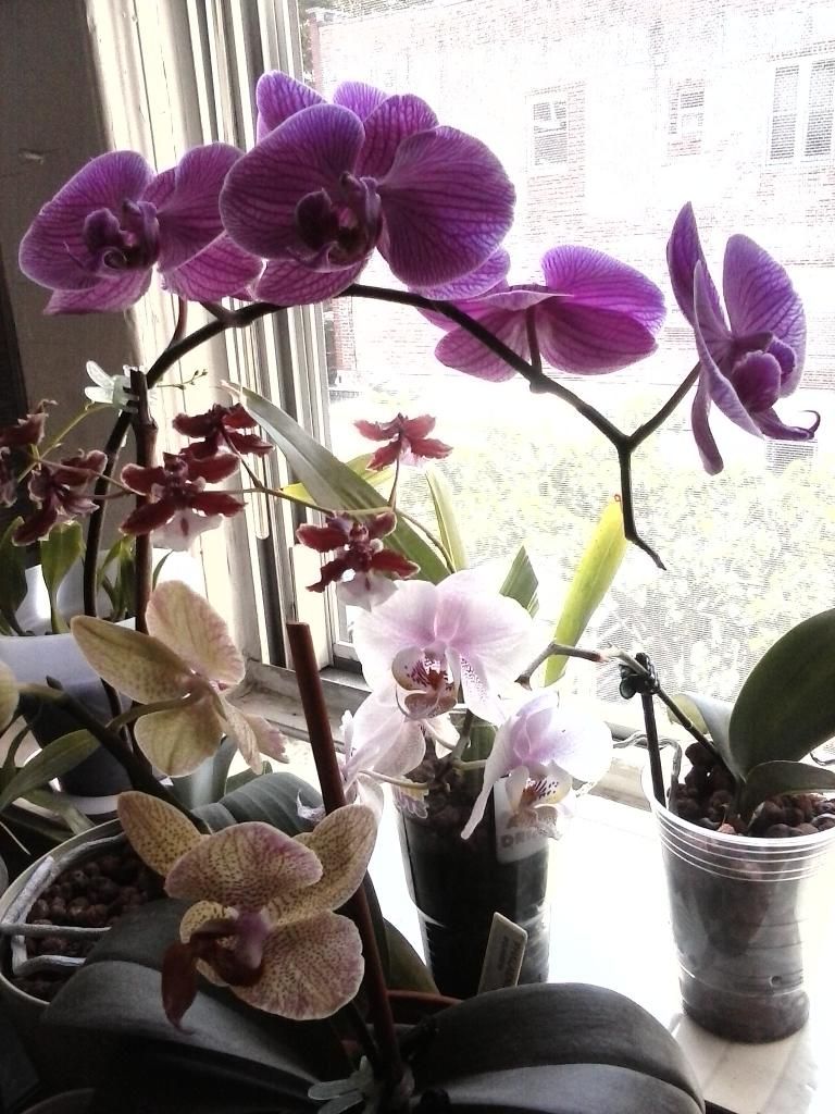  photo 0629141058-3_zps7b683233.jpg