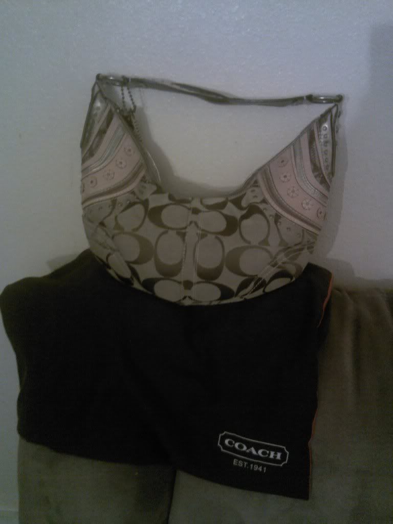 coach hobo 10483