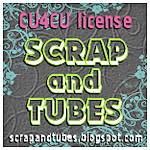  photo Scrap_and_Tubes_CU4CU_License.png