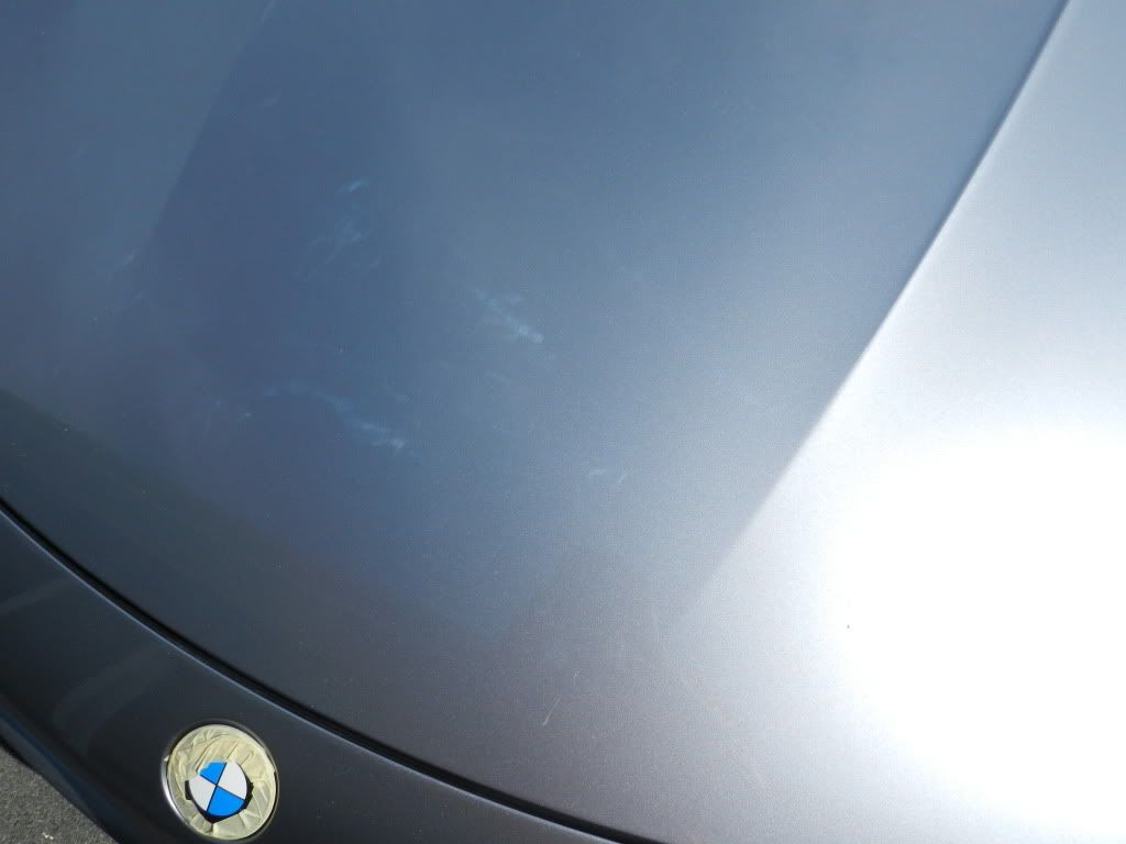 DSCN1103.jpg