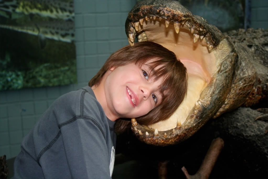 Aidan's head in an alligator