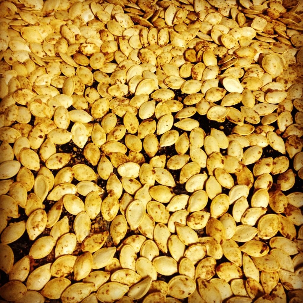 {alazycrazylife} pumpkin seeds