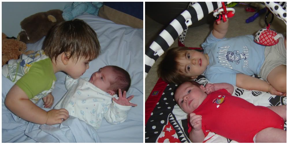 Baby Logan and Aidan