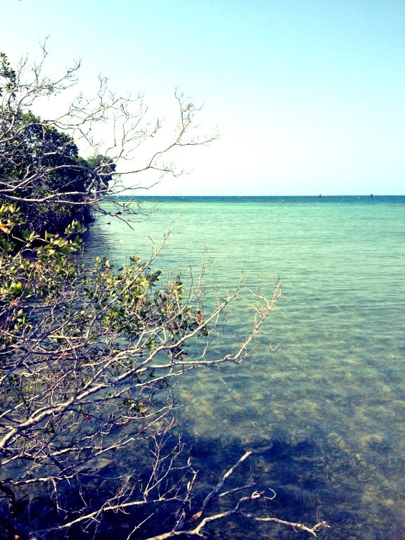 Isla Roatan, Honduras