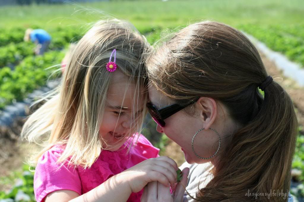  photo StrawberryPicking2013-050_zpsa2a1cec5.jpg