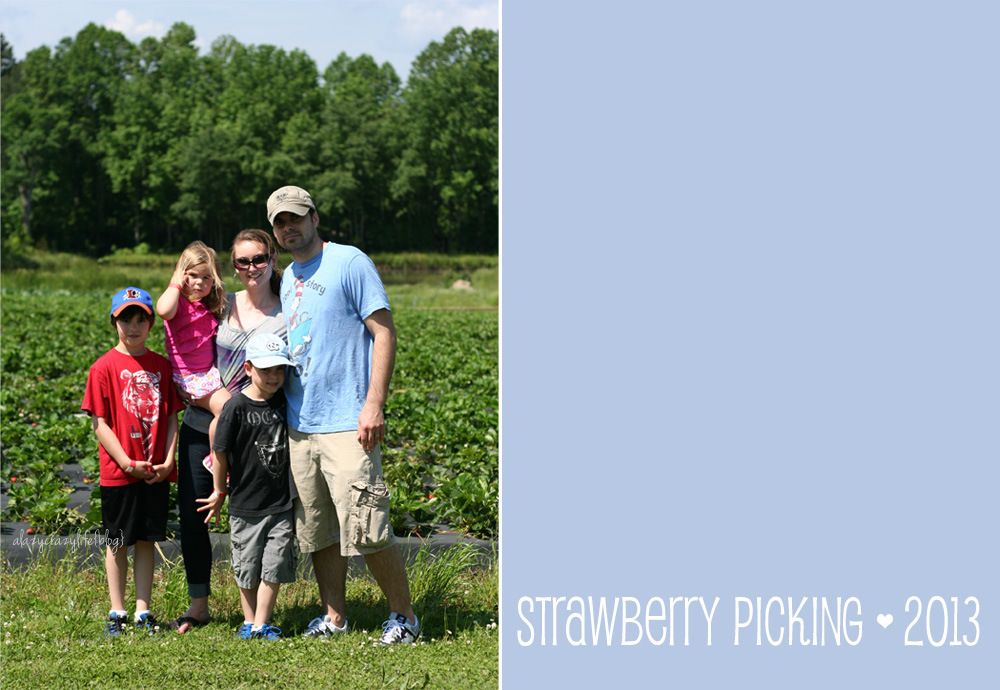  photo StrawberryPicking2013_collage7_zpsba8ff6f1.jpg