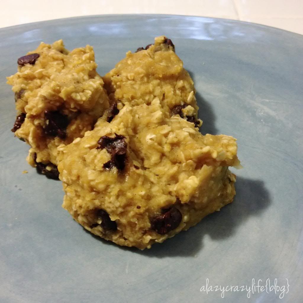 {A Lazy Crazy Life} Healthy Chickpea Banana Chocolate Chip Cookies