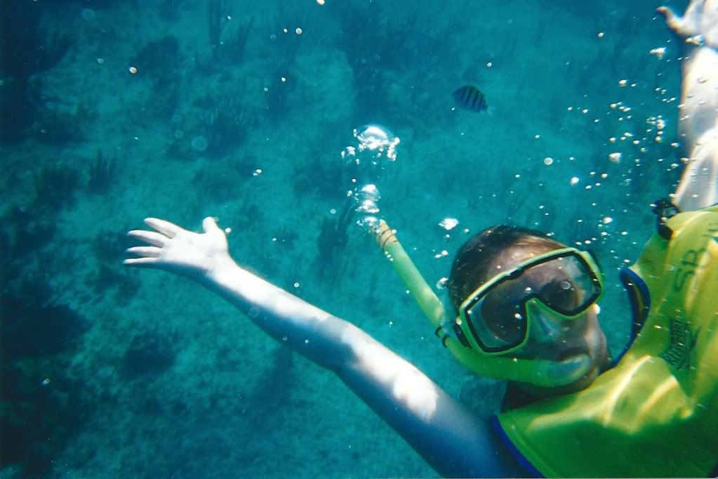 snorkling in Cozumel