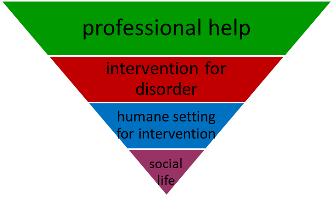 Professor Mario Maj's hierarchy of rights for people with 'mental disorders'