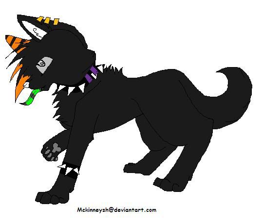 Demon Wolf Pup Pictures Images And Photos Photobucket