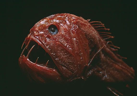 01_full_600x400.jpg