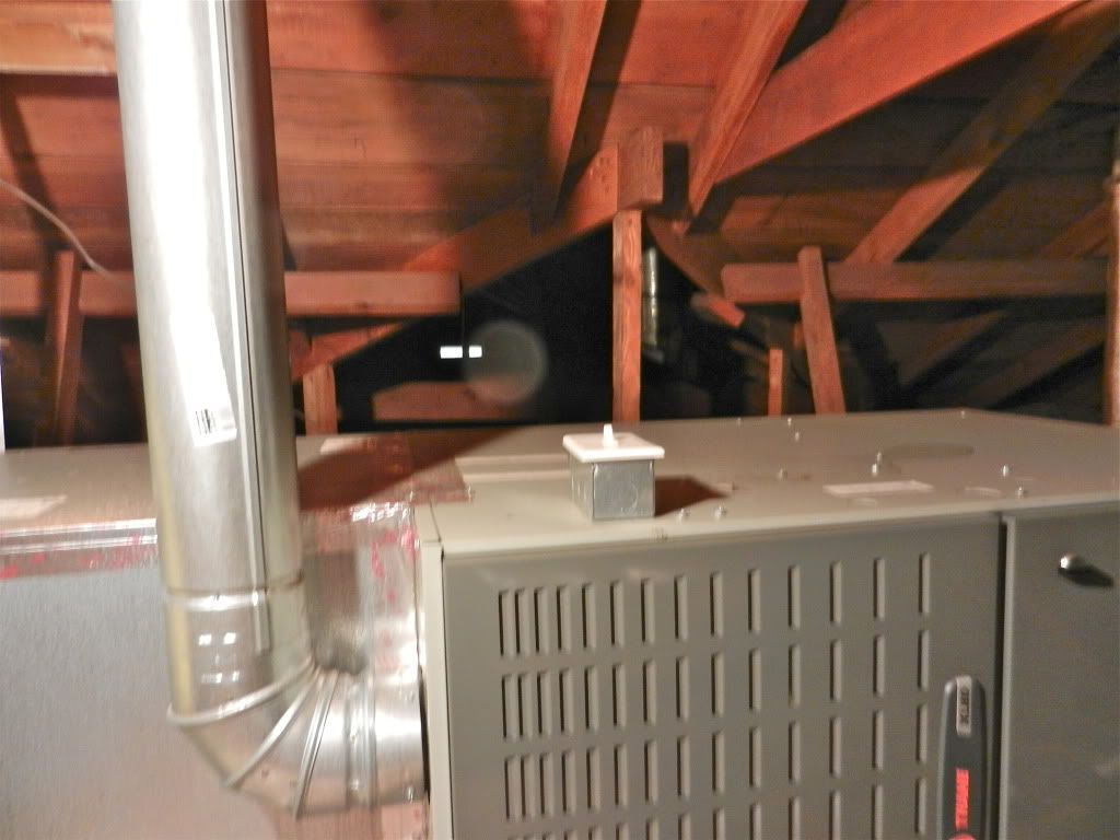 DSCN0703.jpg