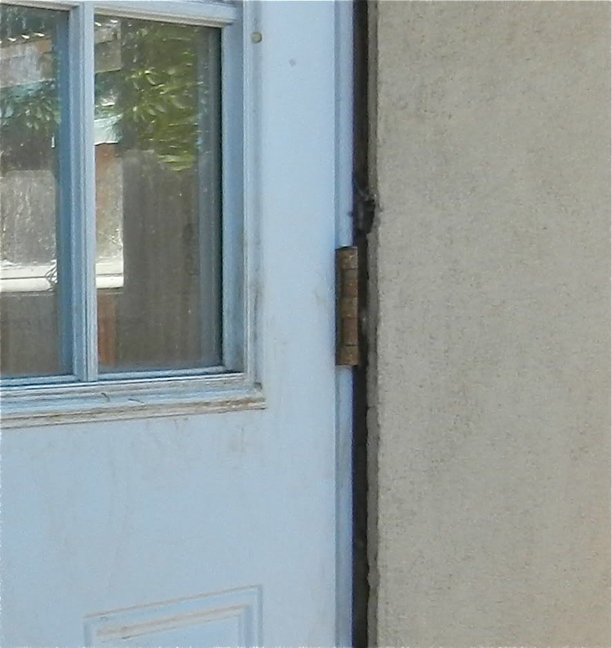 DSCN0827.jpg