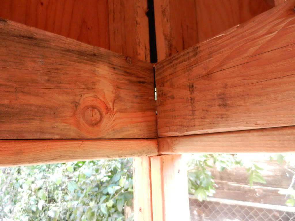 DSCN1455.jpg