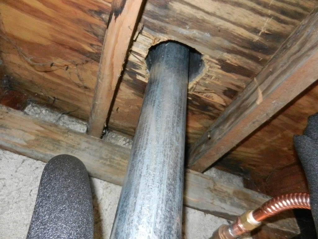 DSCN2395.jpg