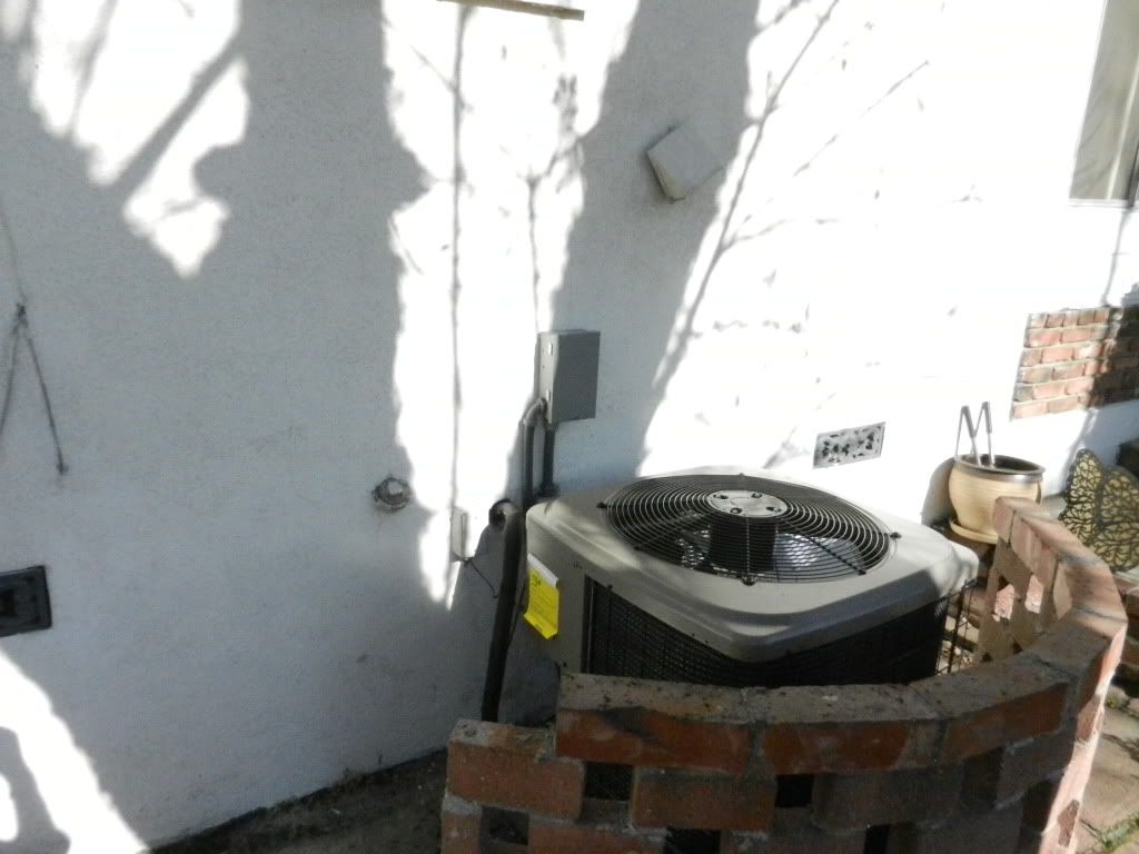 DSCN2429.jpg