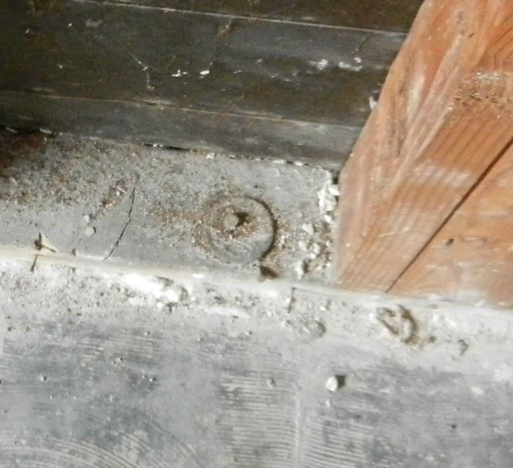 DSCN4308.jpg