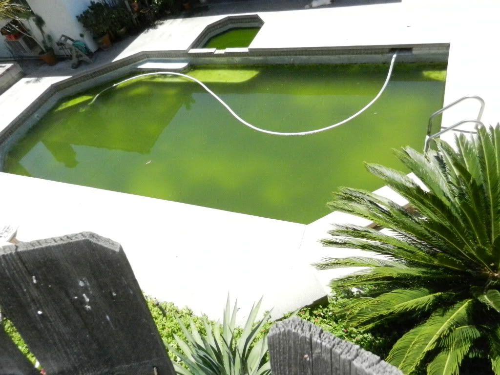 DSCN4638.jpg