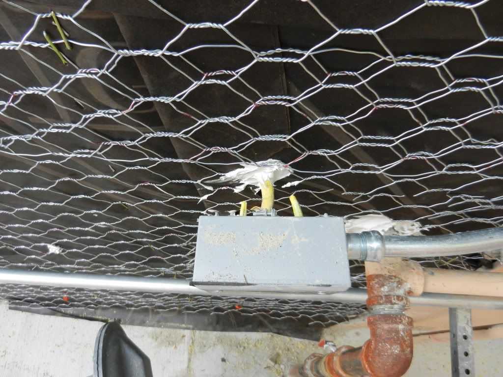 DSCN4700.jpg
