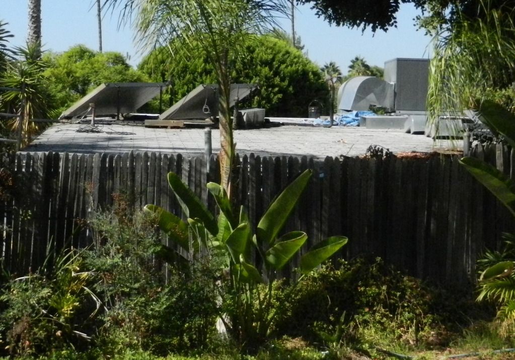DSCN7158.jpg