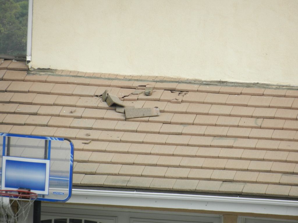 DSCN7393.jpg
