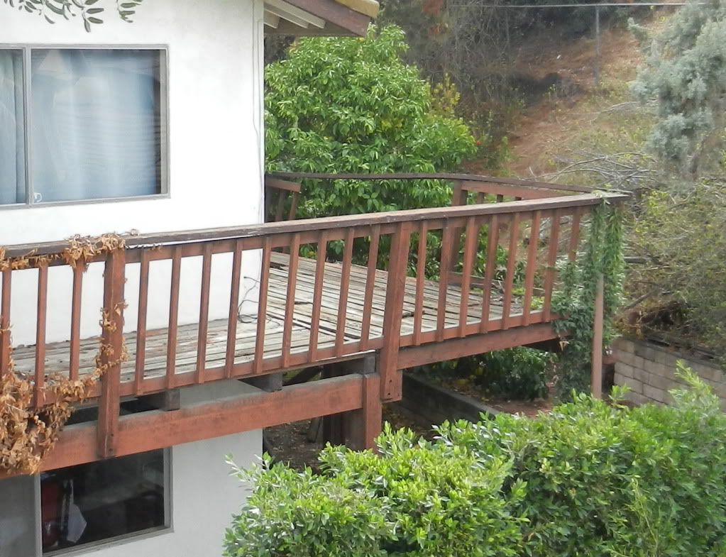 DSCN7398.jpg