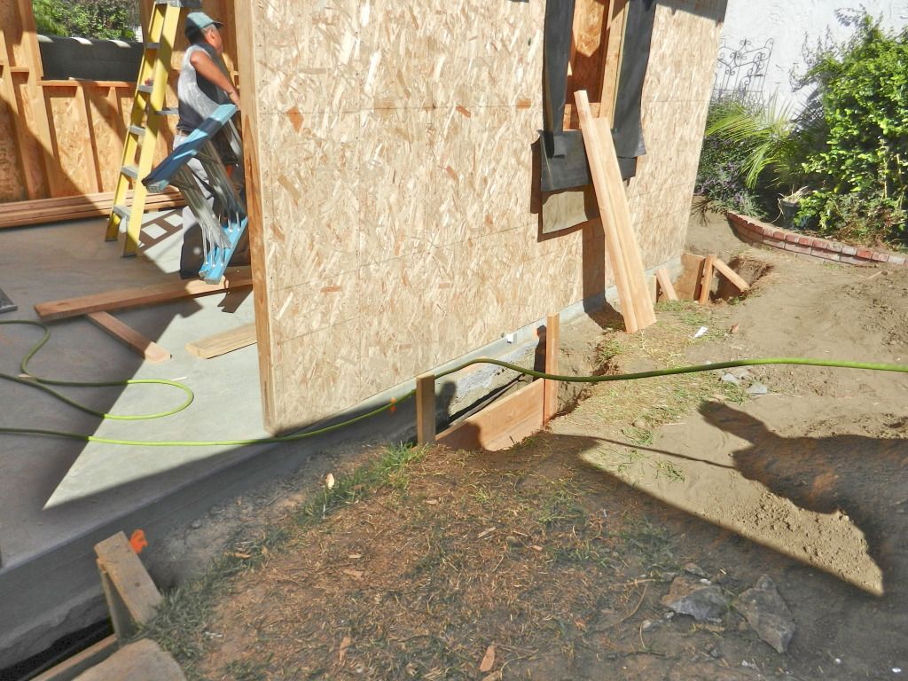 DSCN7505.jpg
