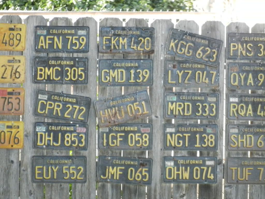 DSCN8279.jpg