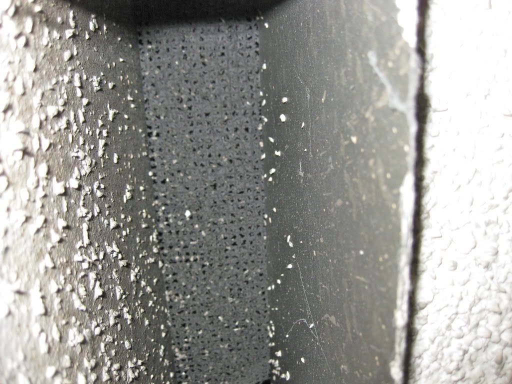 IMG_3568.jpg