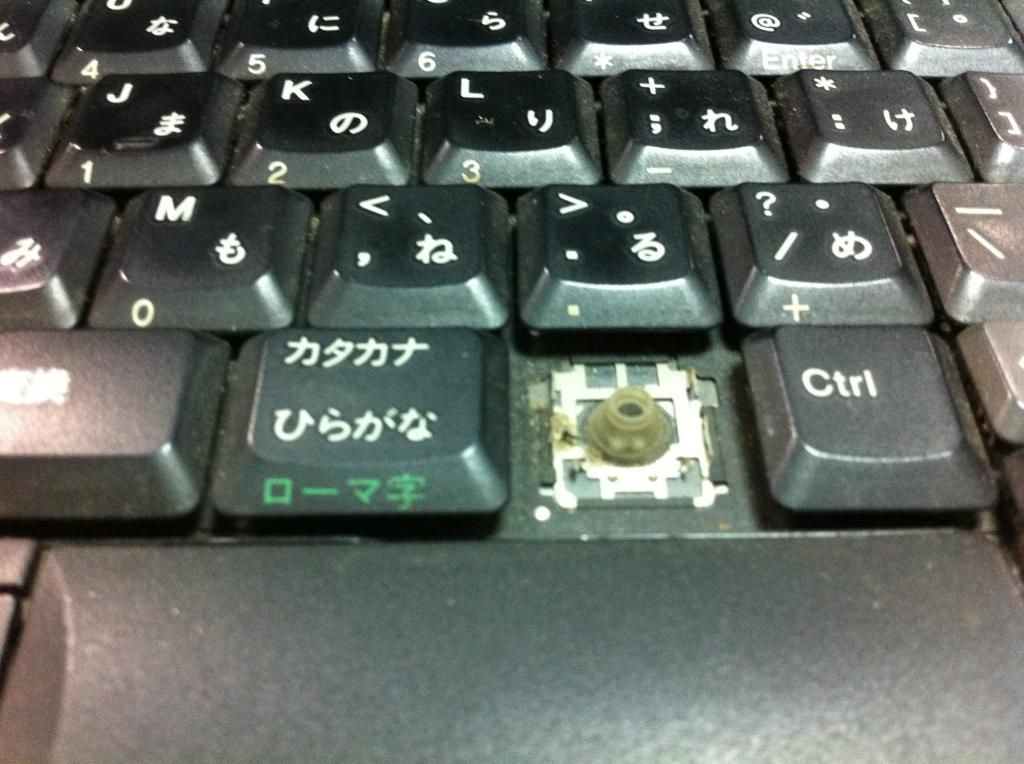 Bán xác 2 em laptop HP & IBM, 1 em MSI còn xài dc - 5