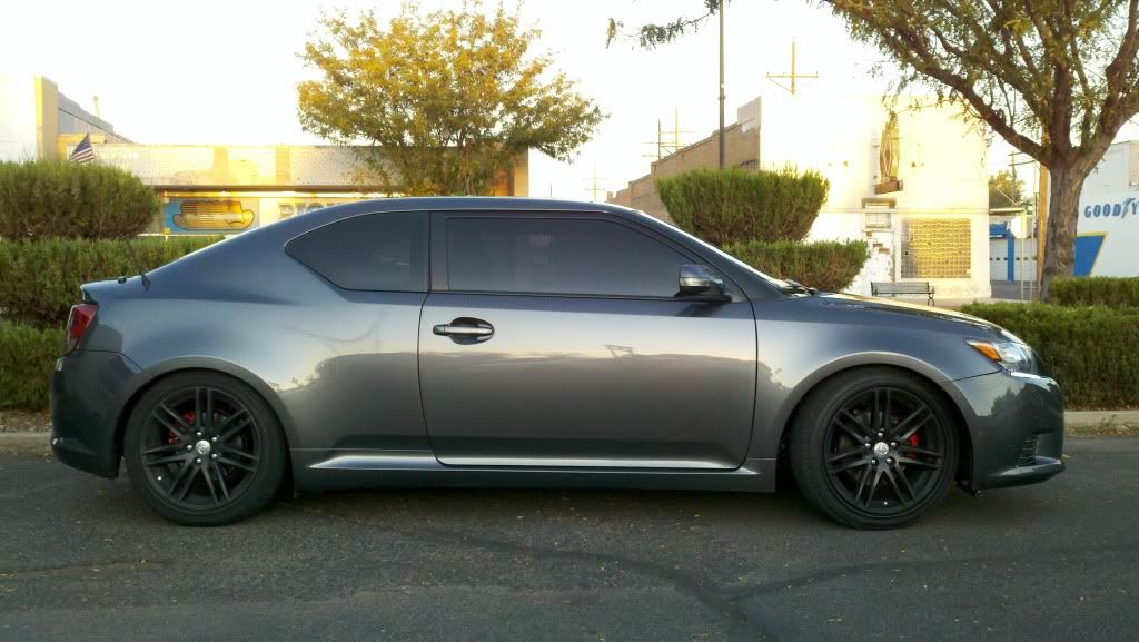 Agent 99 (Retirement) - Scionlife.com