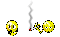mysmilie_55.gif