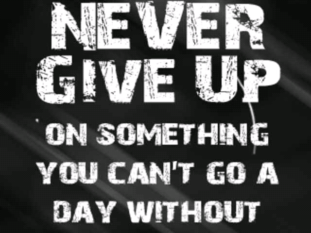 My album Pictures, Images and Photos