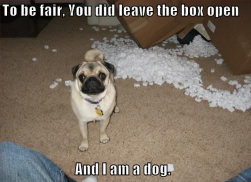 ....And I am a Dog! photo RrPIF.jpg