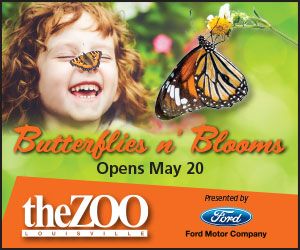 photo 2017_Butterflies_300x250_zps5alou6a3.jpg