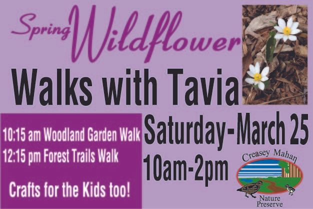 photo LFF 300 x 200 px Wildflower Saturday 2017 banner_zpselttmh4f.jpg