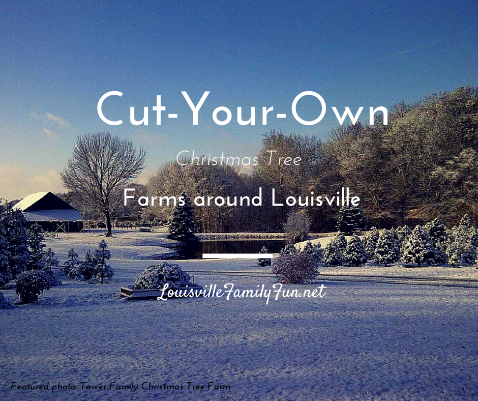 photo Cut-Your-Own_zps00ef75d1.png