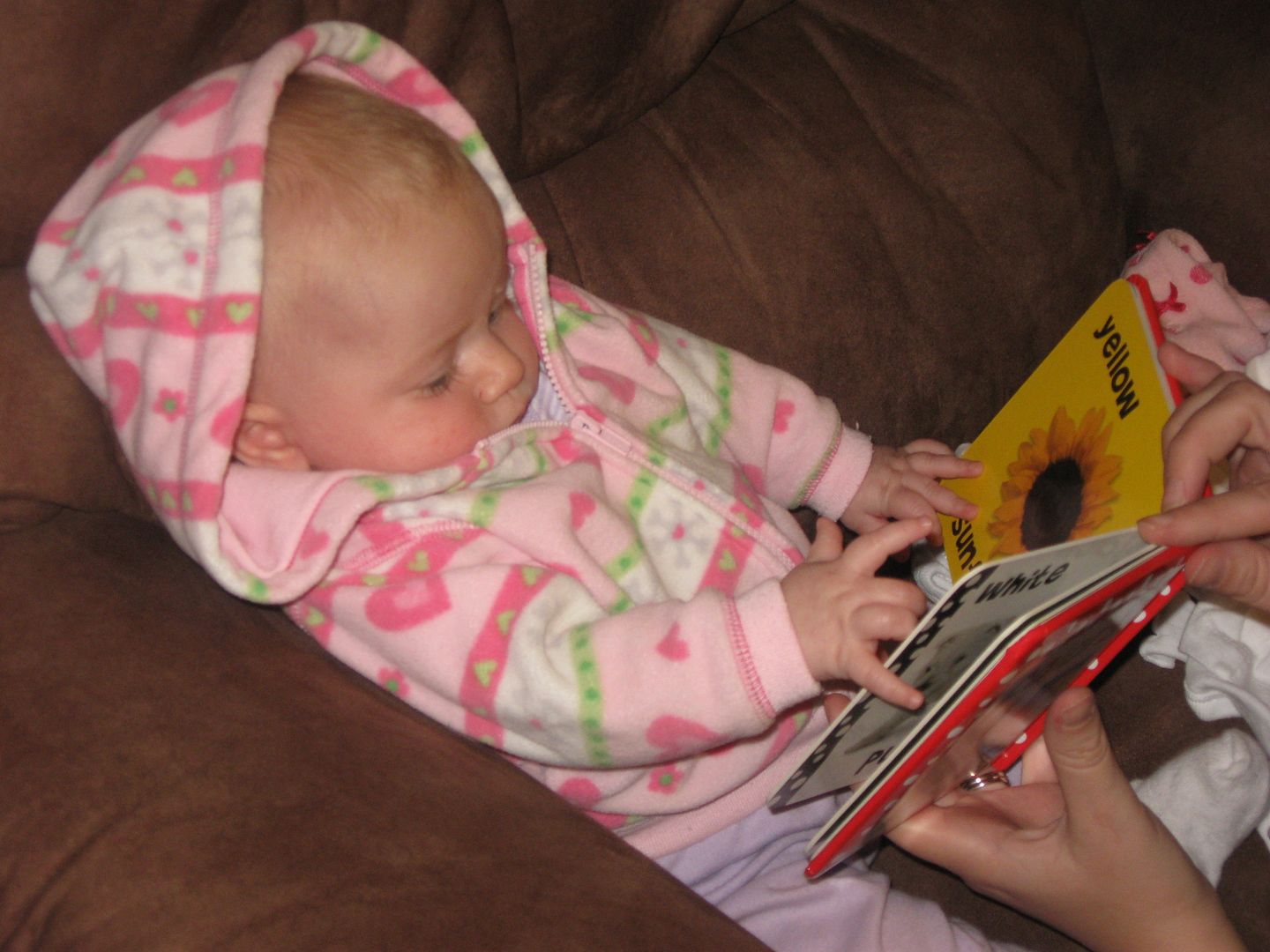 photo Madison 095_zpssmccxkec.jpg