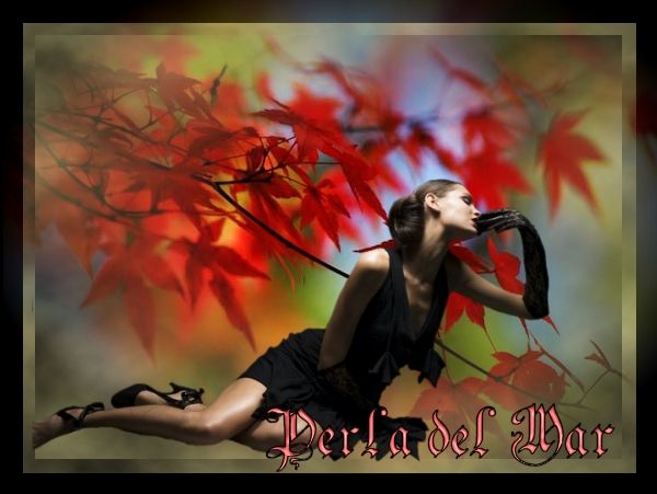  photo 528_zps9d510233.jpg