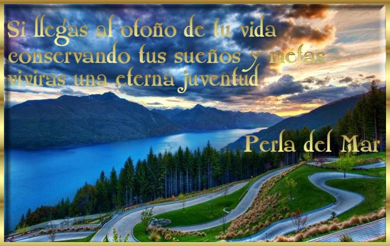  photo Imagen13sillegas_zps53b57172.jpg