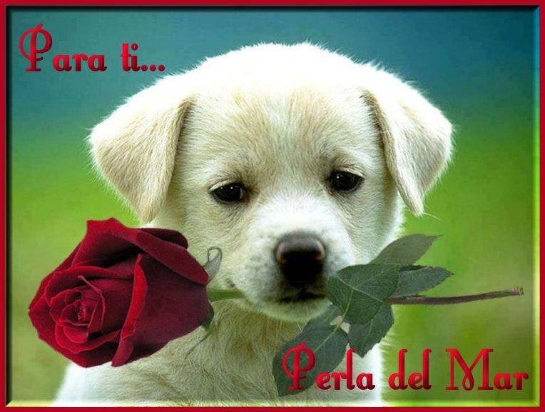  photo Imagen28tagparati_zpsb86d1a02.jpg