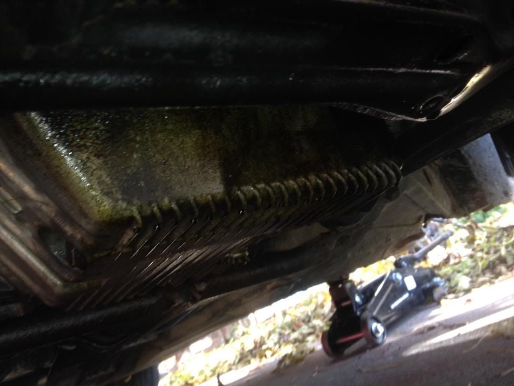 Oil leak after radiator hose blows off.