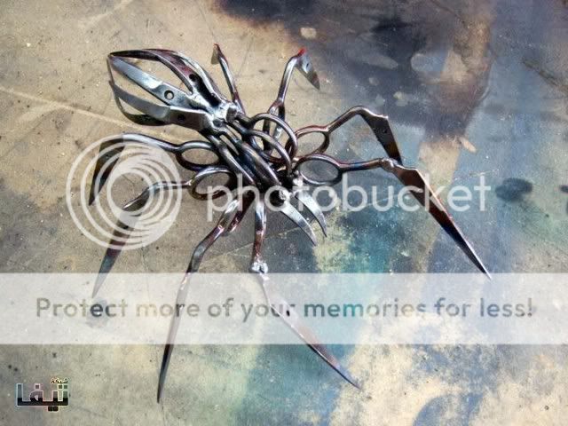     -  locke-Scissor-Spider-1.jpg