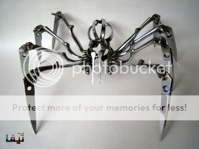     -  locke-Scissor-Spider-3.jpg