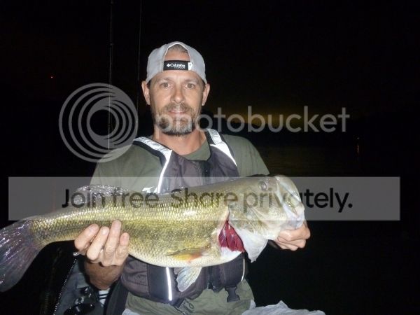 Catfish20Kicker207.91_zpspgllqesu.jpg