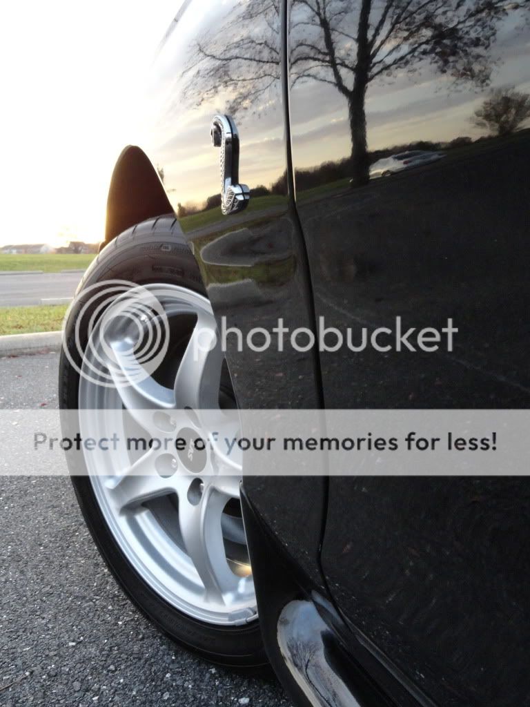 Immaculate 1998 Svt Cobra For Sale The Mustang Source Ford Mustang Forums ford king cobra for sale on Immaculate 1998 Svt Cobra For Sale The Mustang Source Ford Mustang Forums