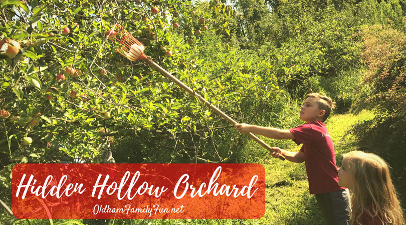Hidden Hollow Orchard