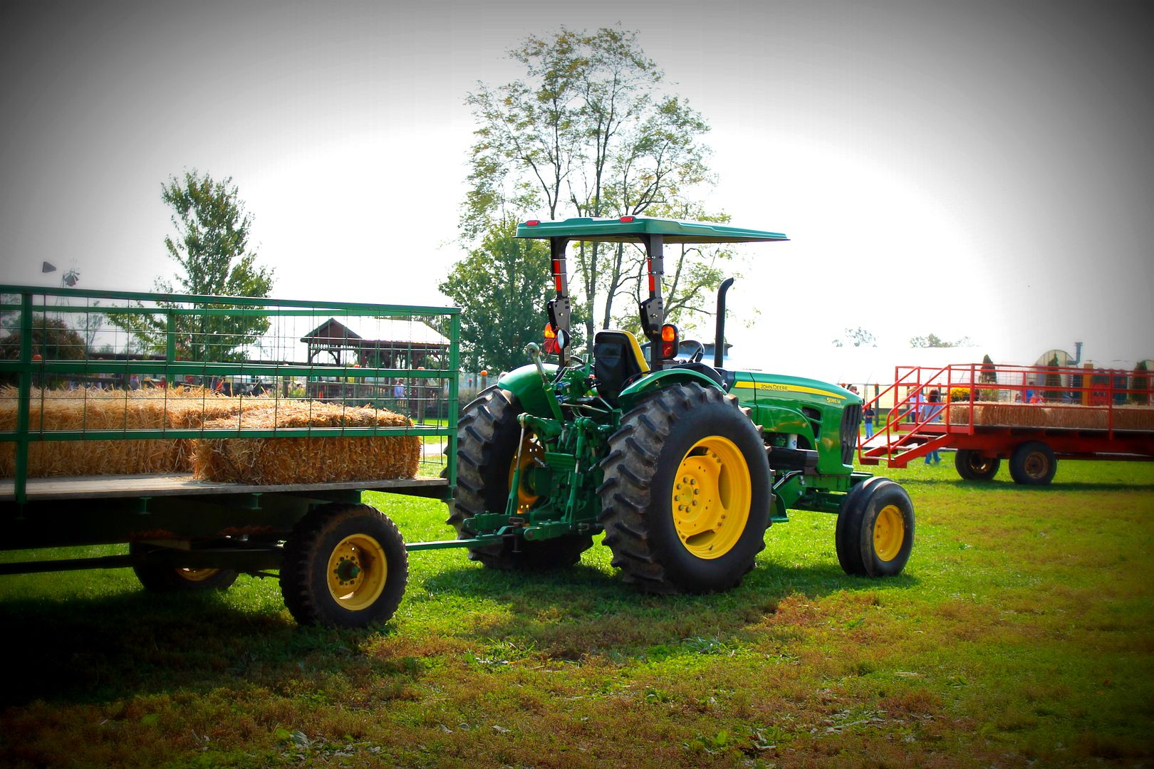 clearview farms shelbyville ky