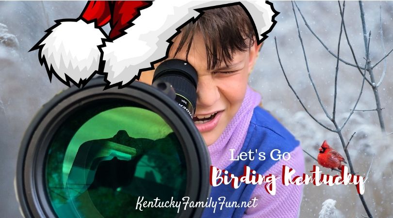 photo Go Birding Kentucky_zpszocmu7uj.jpg